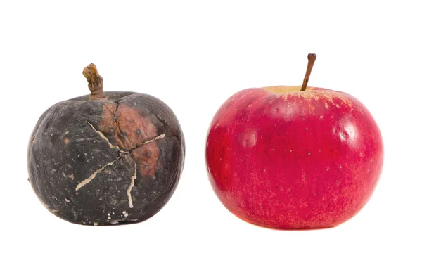 Aislado dos manzana - concepto de tiempo de la naturaleza — Foto de Stock