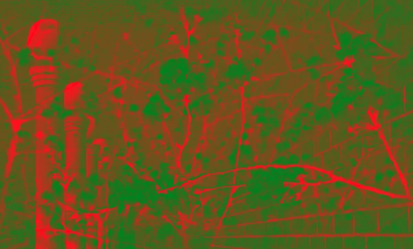 Gemengde rode en groene achtergrond — Stockfoto