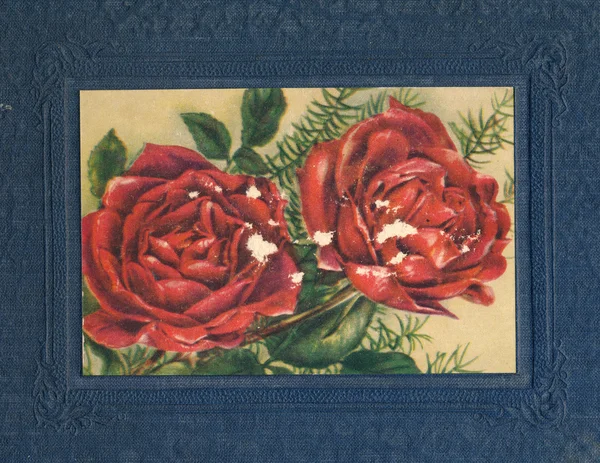 stock image Ancient photo album cover background with roses