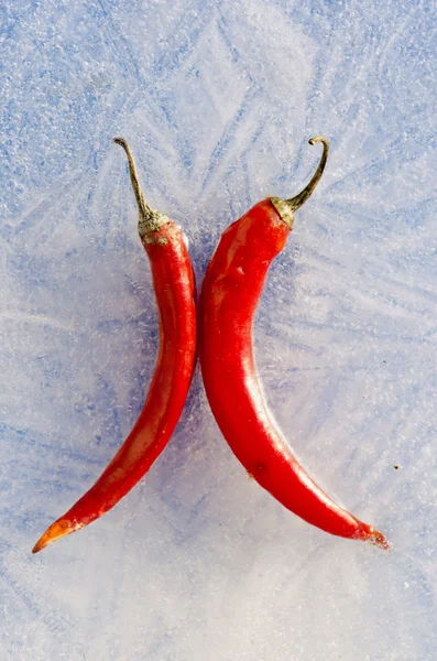 Duas pimentas vermelhas congeladas em gelo — Fotografia de Stock