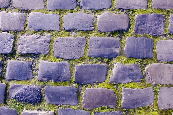 Ancient old town pavement bricks — Stock Photo, Image