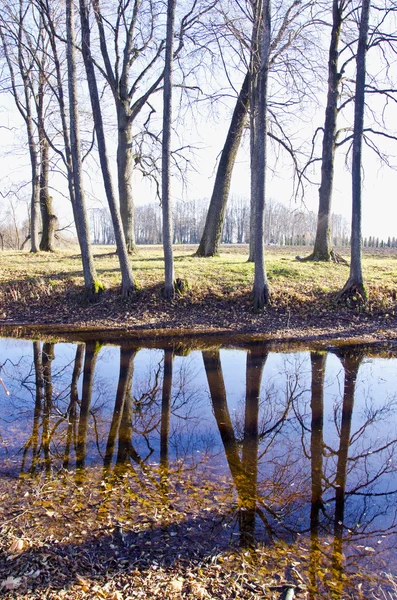 Ландшафт осеннего парка с прудом — стоковое фото