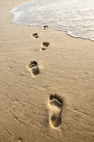 Moře a stopy v písku — Stock fotografie