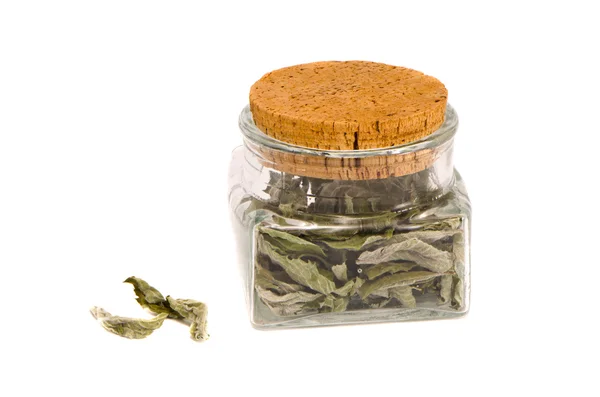 Na białym tle słoik z herbaty ziela mięty — Zdjęcie stockowe