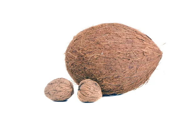 Isolated coconut and two walnuts — Stok fotoğraf