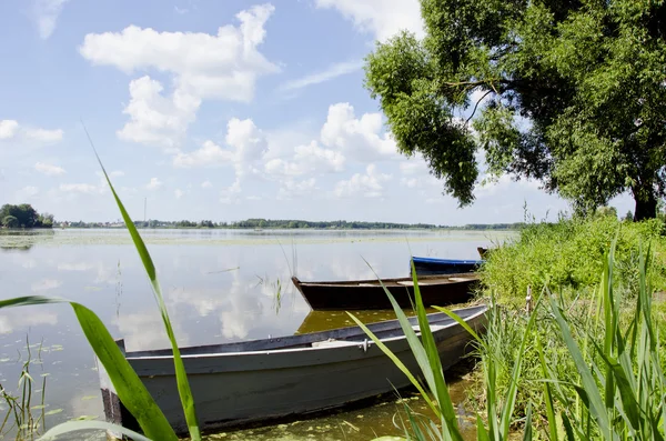 Sommaren sjön med båtar — Stockfoto