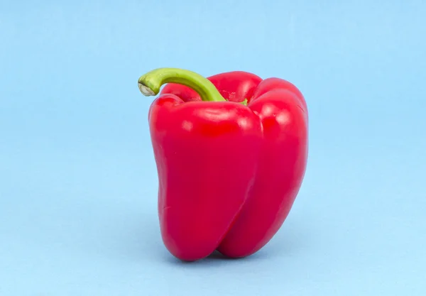 Κόκκινη πιπεριά σε γαλάζιο φόντο — Φωτογραφία Αρχείου