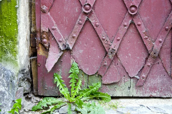 Porta storica in metallo arrugginito — Foto Stock