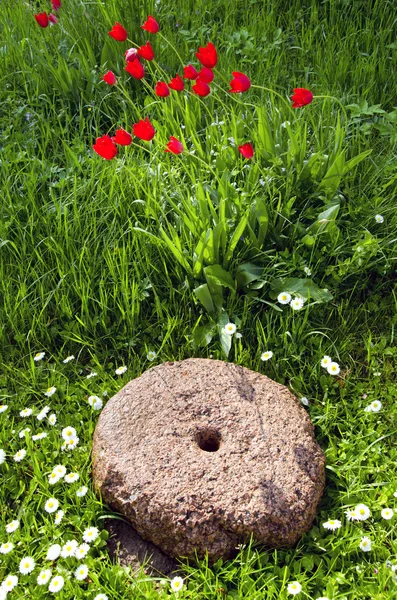 Historische molensteen in de tuin — Stockfoto