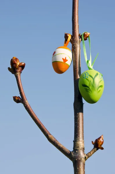Пасхальные яйца на каштановых ветвях — стоковое фото