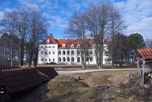 Středověký Litevský hrad birzai — Stock fotografie