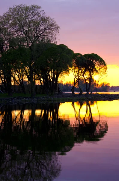 早春季日落在湖 — 图库照片