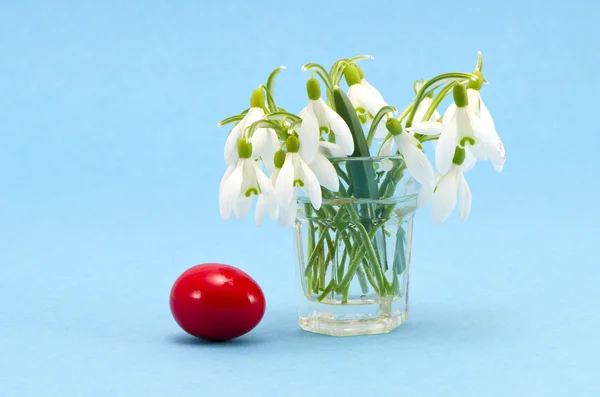 Sněženky v sklo a velikonoční vajíčko — Stock fotografie