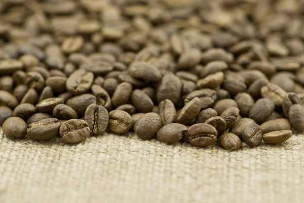 Coffee Beans on the Sacking — Stock Photo, Image