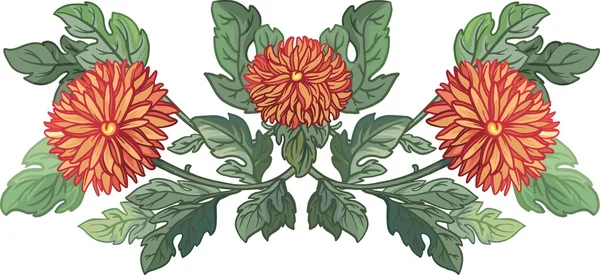 Vector illustration. bright chrysanthemums — Stock Vector