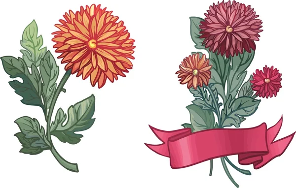 Kwiaty chryzantemy — Wektor stockowy