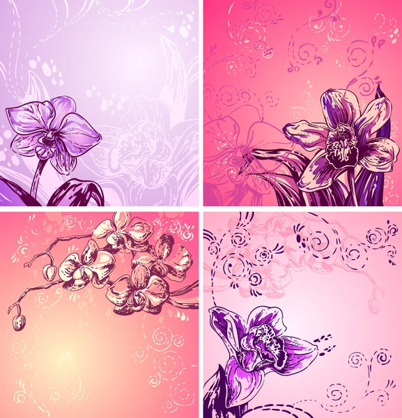 Four pink white yellow orchid flowers vintage — Stock Vector