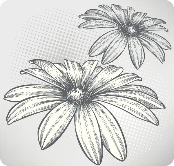 Fleurs fleuries, dessin à la main. Illustration vectorielle . — Image vectorielle
