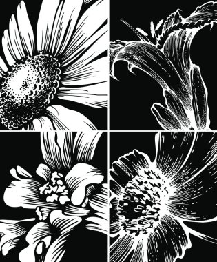 Set of floral graphic backgrounds clipart