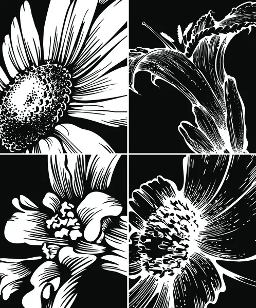 Набір квіткових графічних фонів — стоковий вектор