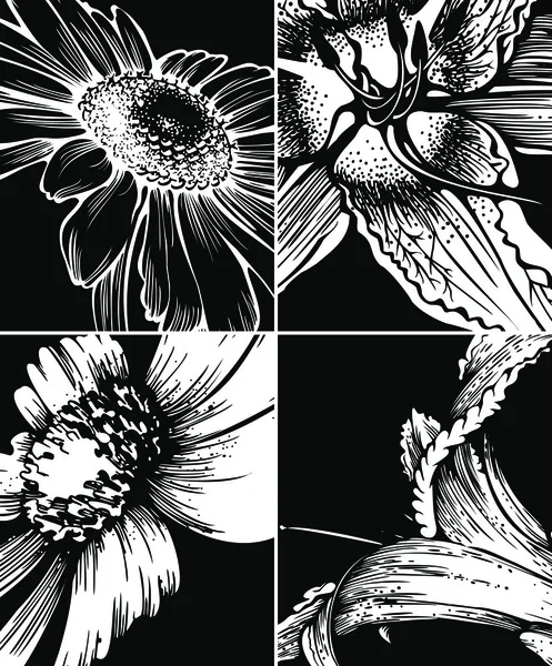 Ensemble de décors graphiques floraux — Image vectorielle