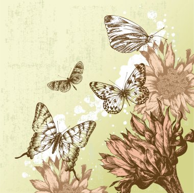 Vintage background with beautiful butterflies and blooming flowers. Vector clipart