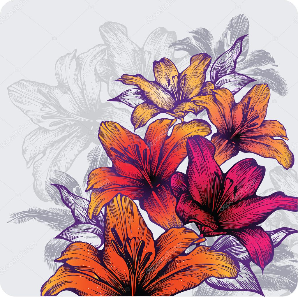 Background with blooming lilies, hand-drawing. Vector illustration.