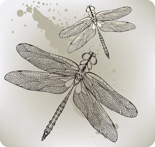 Fliegende Libelle, Handzeichnung. Vektorillustration. — Stockvektor