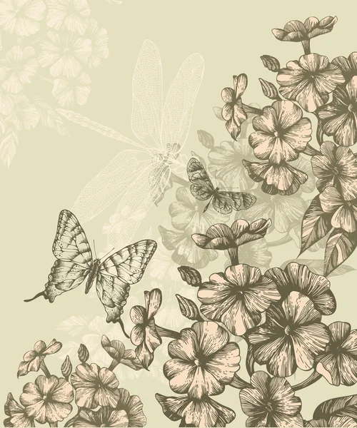 Fundo floral com flox florescente e borboletas voadoras, desenho à mão . Gráficos Vetores