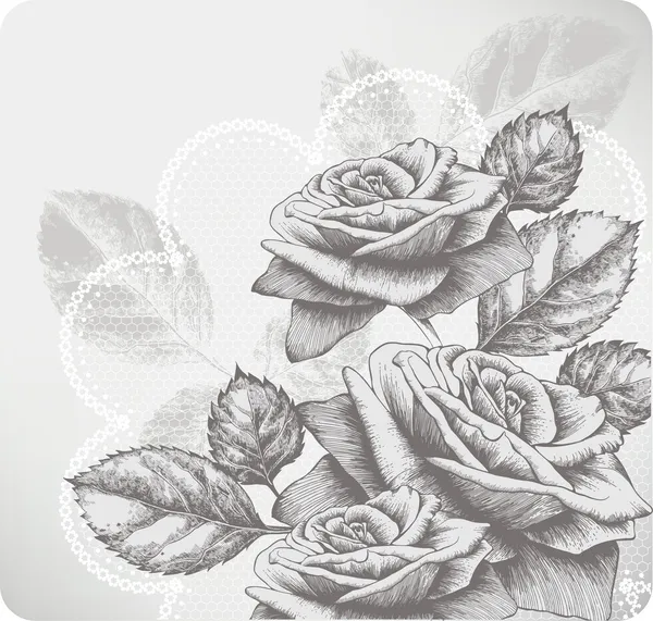 Sfondo con rose in fiore e merletto glamour, disegno a mano. Vettore — Vettoriale Stock