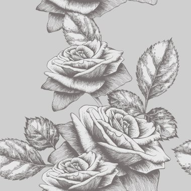 Seamless background with roses blooming, hand-drawing. Vector illustration.