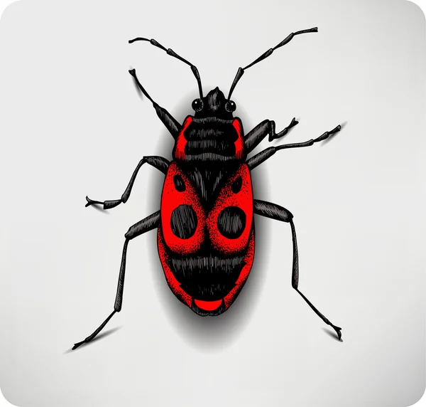 stock vector Red beetle, hand-drawing. Vector illustration.