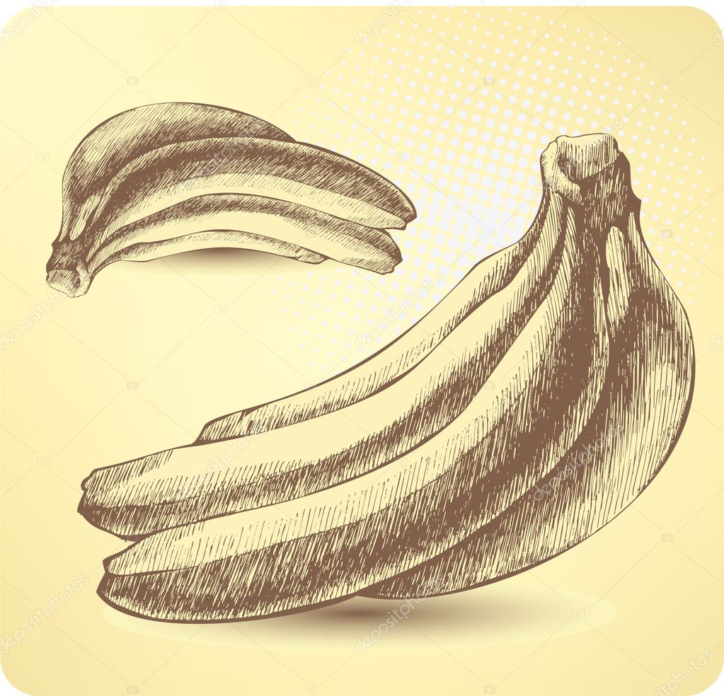 Bunch of ripe bananas, handdrawing. Vector illustration. — Stock