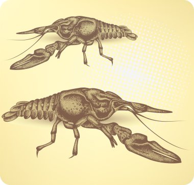 Crayfish, hand-drawing. Vector illustration clipart