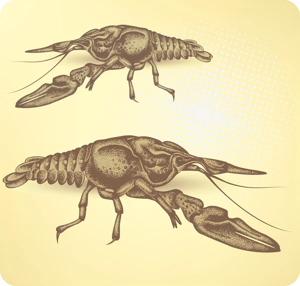 Crayfish, desenho à mão. Ilustração vetorial — Vetor de Stock