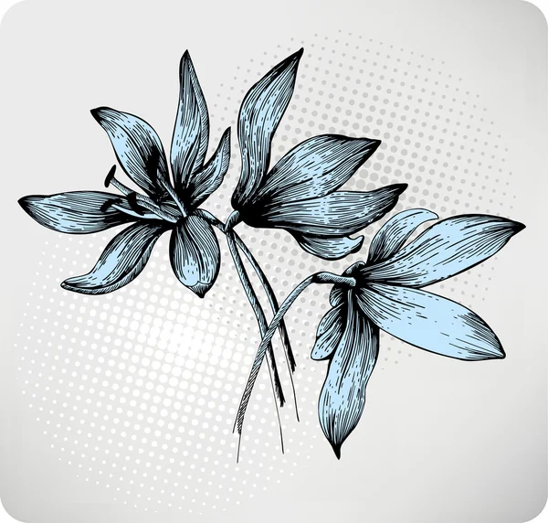 春 scilla の花束手描きします。ベクトル イラスト. — ストックベクタ
