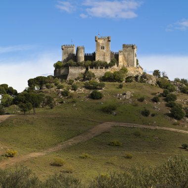 Castle of Almodovar del Rio clipart