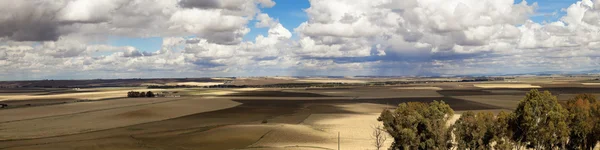 stock image Wheat fields panorama