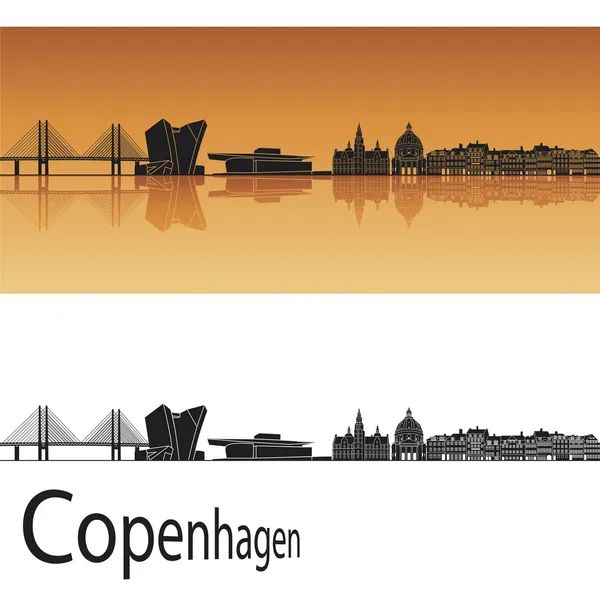 Kodaň Panorama — Stockový vektor