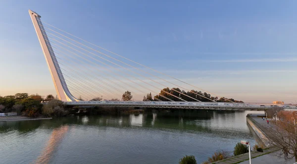 Аламильо-мост в Севилье — стоковое фото