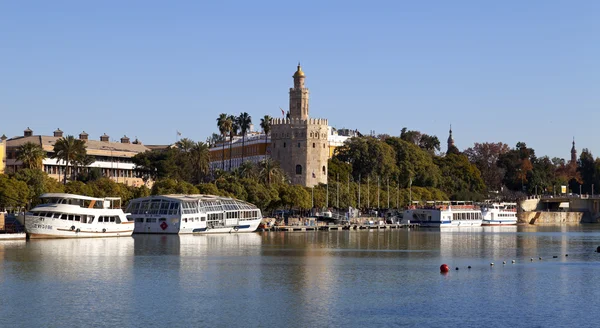 Torre del Oro i Sevilla — Stockfoto