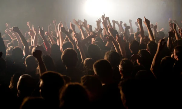 stock image The audience raised their hands at concert