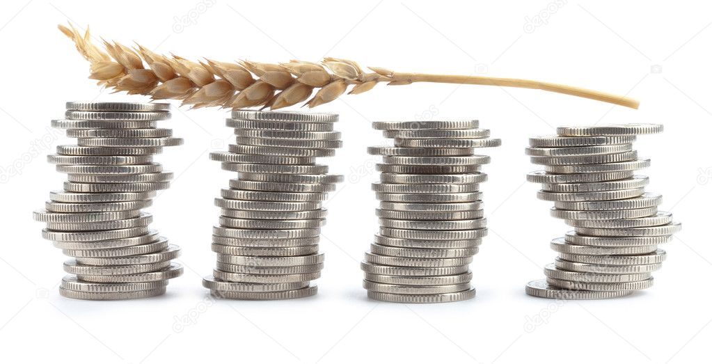 One single corn stalk lies on Euro coins