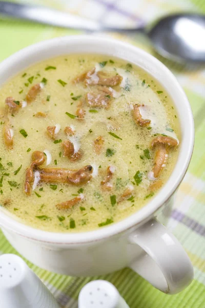 Шантарельский суп — стоковое фото