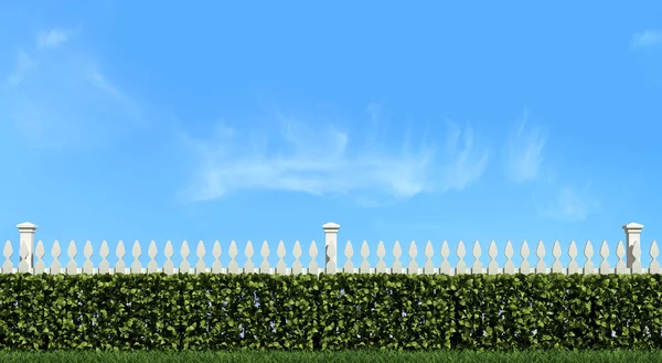 Biały płot i hedgingowe na błękitne niebo — Zdjęcie stockowe