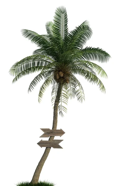 Palme und Holzpfeile — Stockfoto