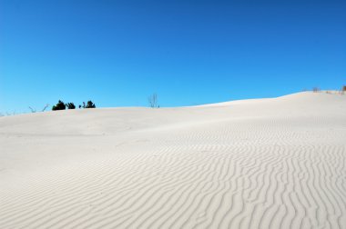 Dunes in Porto Pino - Sardinia clipart