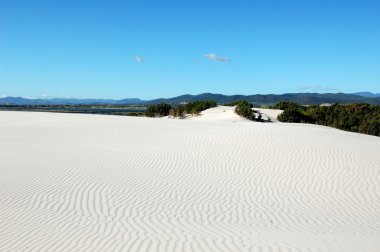 Dunes in Porto Pino - Sardinia clipart