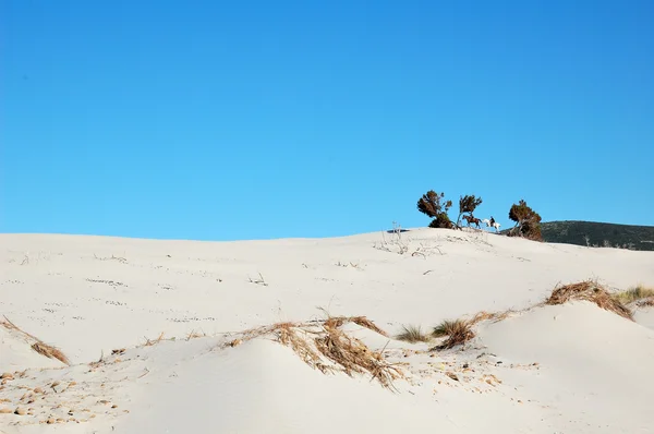 Dunes Sardinia — Stock Photo, Image