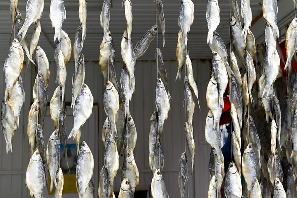 stock image Background of the bundles of dried fish